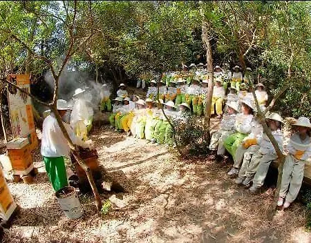Bonilla